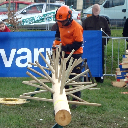 Epreuve d'&eacute;branchage du championnat de tron&ccedil;onneuse pr&eacute;cision 2009-2010