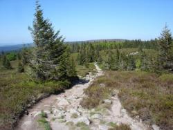 Bac Pro Gestion des Milieux Naturels et de la Faune - Métiers de l'environnement