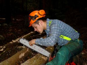 Séquence d'affûtage sur un chantier d'abattage pédagogique