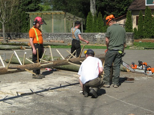 Concours de b&ucirc;cheronnage
