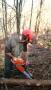 MFR Aillevillers : BEPA TF (Travaux Forestiers) et BEPA EAENR (Entretien et Am&eacute;nagement des Espaces Naturels et Ruraux) en Chantier Forestier (&eacute;branchage)