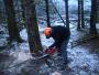 Formation aux m&eacute;tiers de la for&ecirc;t